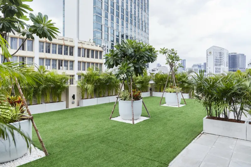 The rooftop garden
